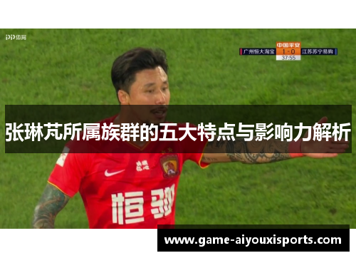 张琳芃所属族群的五大特点与影响力解析